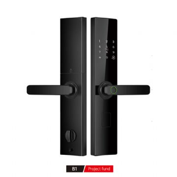 B1 Project fundB1 Project fund