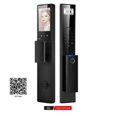 Q2 Face/Cat's eyeQ2 Face/Cat's eye