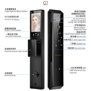 Q7 Face/Cat's eyeQ7 Face/Cat's eye